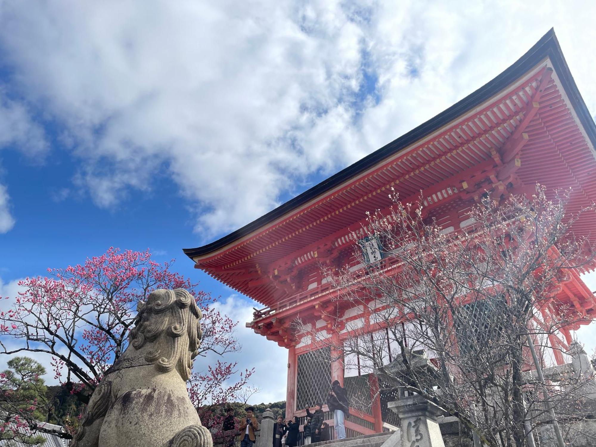 Hotel Amanek Kyoto Kawaramachi Gojo Bagian luar foto